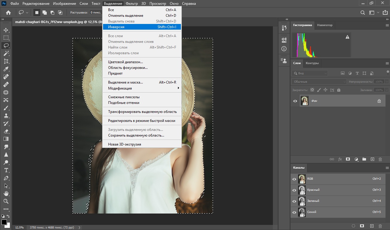 Убрать выделенный. Как сделать инверсию фото. Как вырезать выделенную область в фотошопе. Инверсия фото в фотошопе. Инверсия выделения в фотошопе.